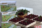 梦见洗手高速赋能产业升级：一条“杨梅路”的致富密码